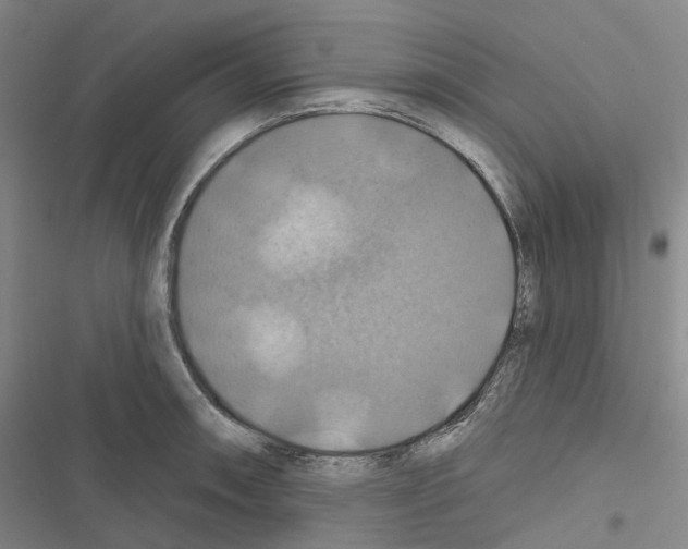 X0000116491090201001201358