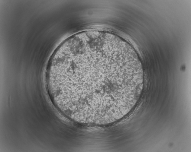 X0000116491091201001201358