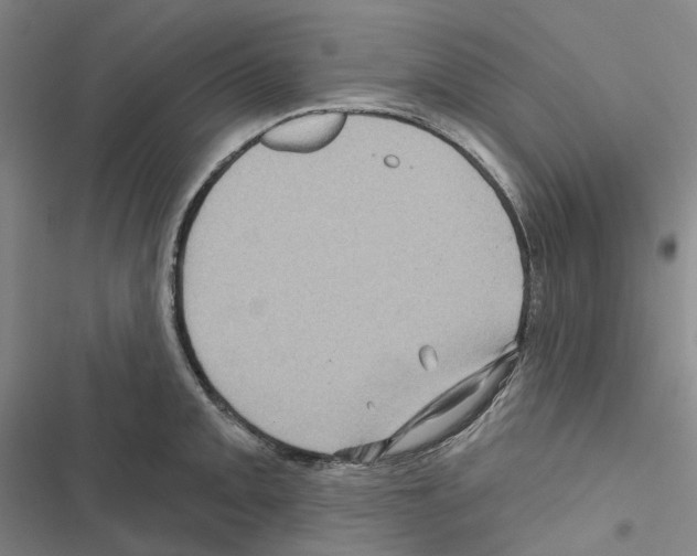 X0000116491093201001201358