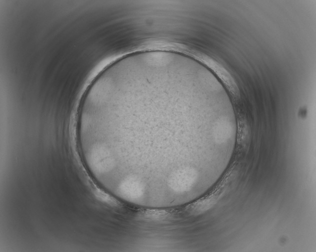 X0000116491094201001201358