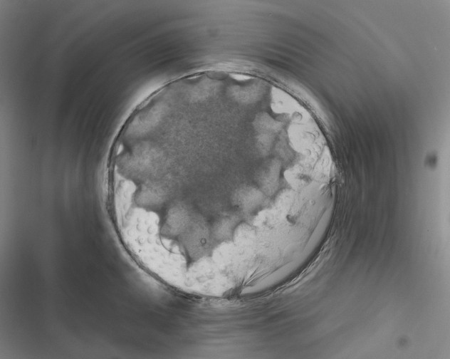 X0000116491095201001201358