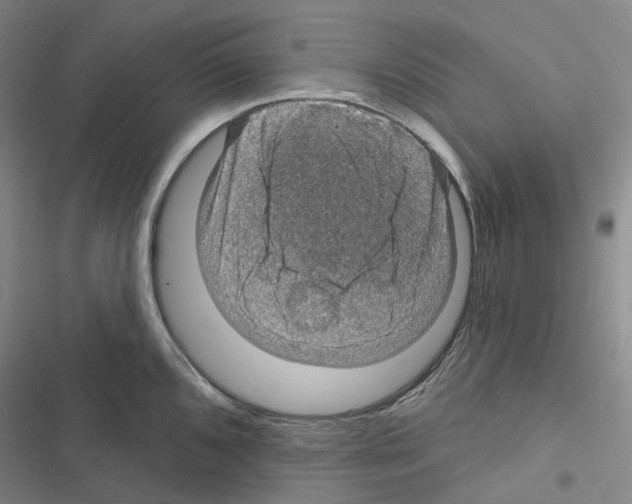 X0000116491096201001201358