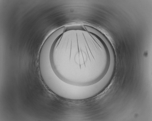 X0000116491097201001201358