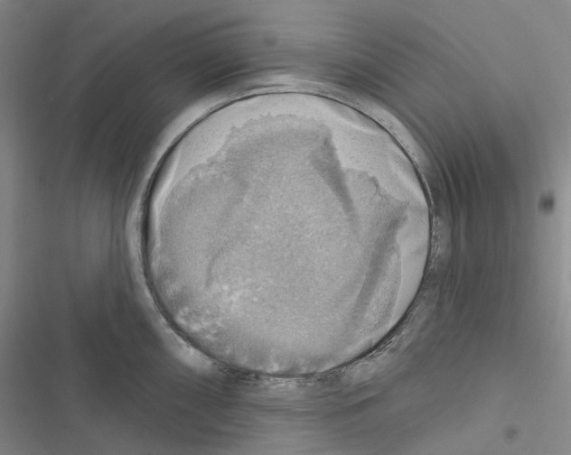 X0000116491098201001201358