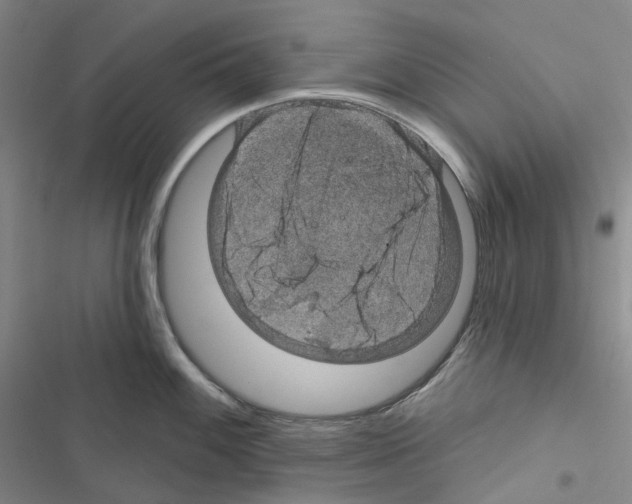 X0000116491100201001201358