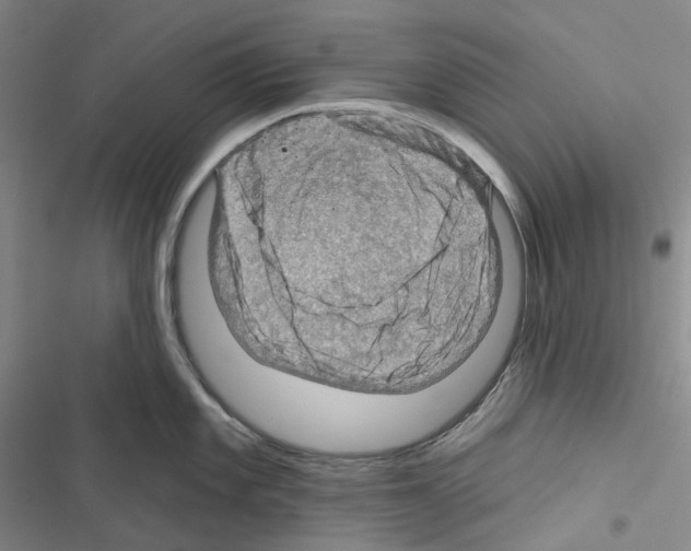 X0000116491101201001201358