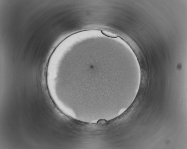 X0000116491102201001201358