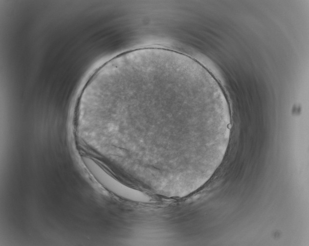 X0000116491104201001201358