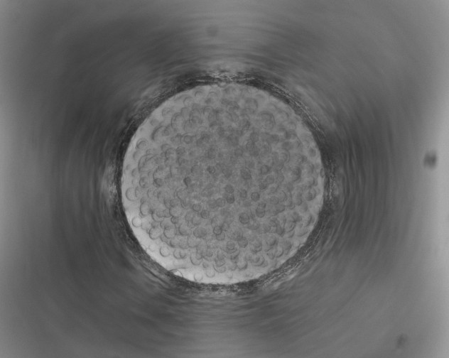 X0000116491106201001201357