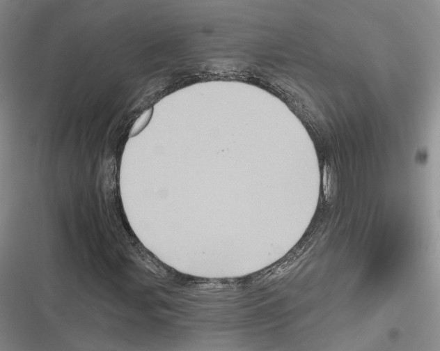 X0000116491107201001201357