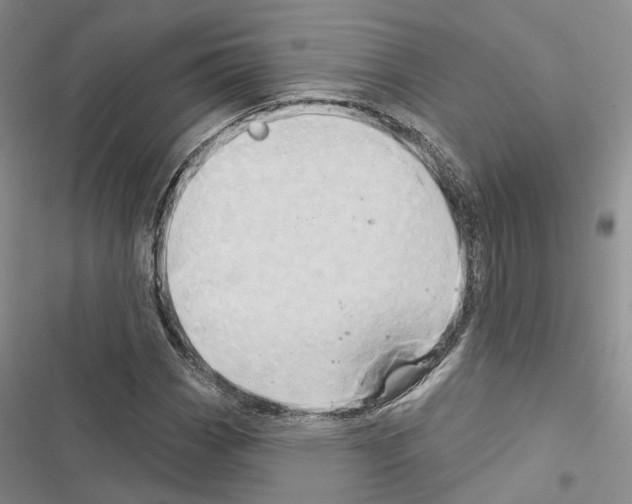 X0000116491113201001201357