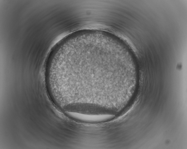 X0000116491114201001201357