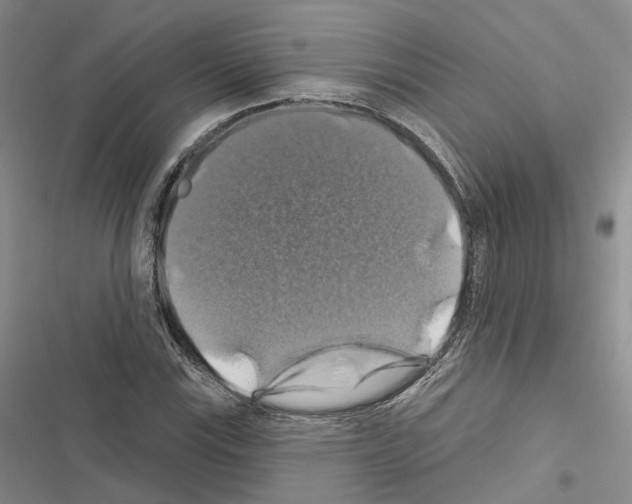 X0000116491115201001201357