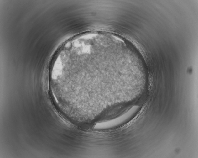 X0000116491123201001201357