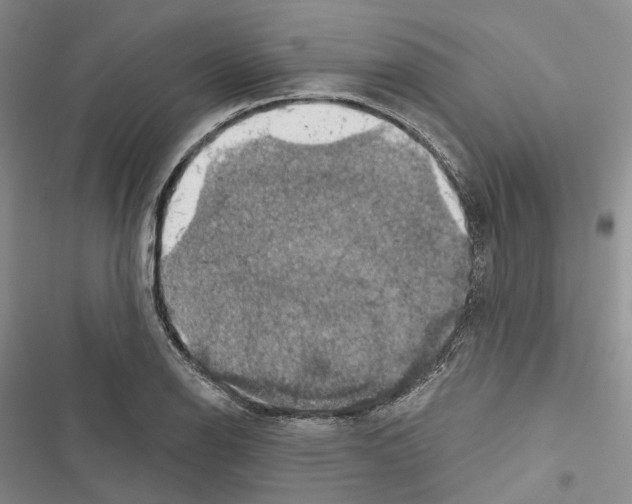 X0000116491126201001201357