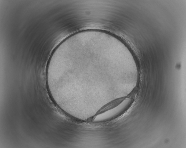 X0000116491129201001201357