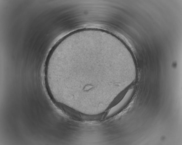 X0000116491133201001201358