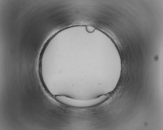 X0000116491135201001201358