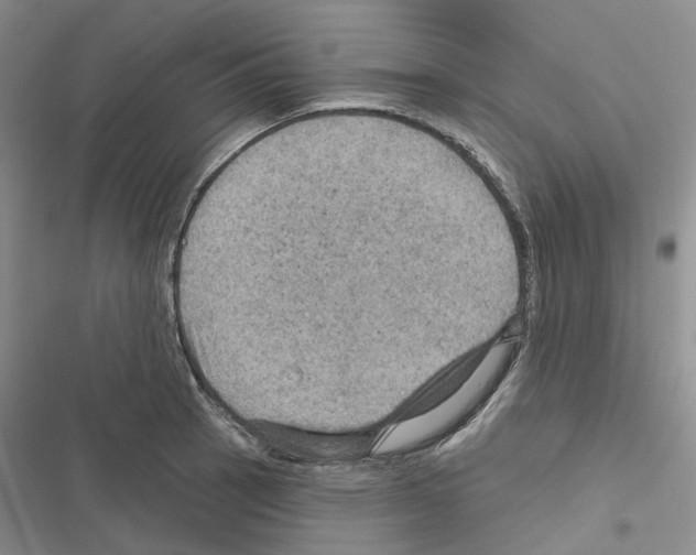 X0000116491137201001201358