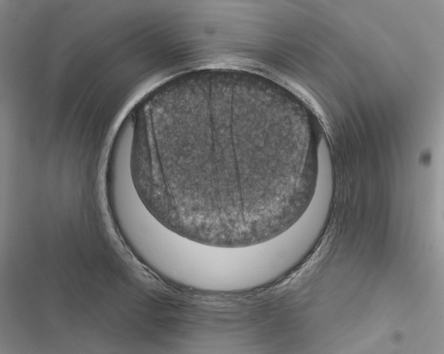 X0000116491138201001201358