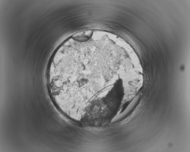 X0000116491141201001201358