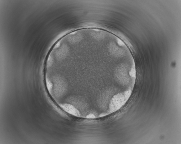 X0000116491142201001201358