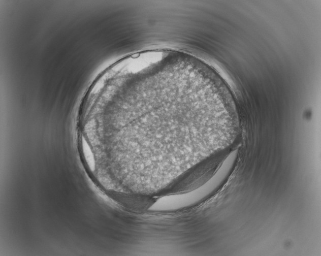 X0000116491143201001201358