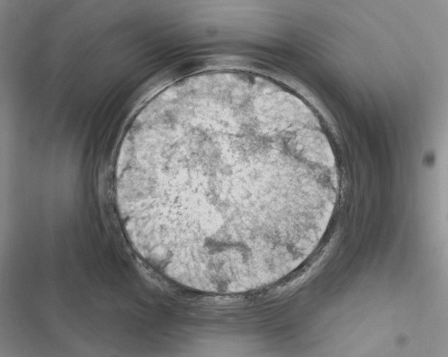 X0000116491145201001201358