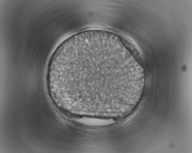 X0000116491146201001201358