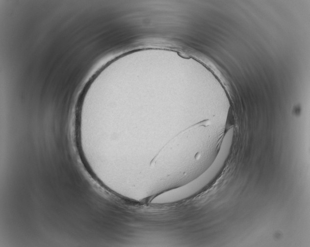 X0000116491147201001201358