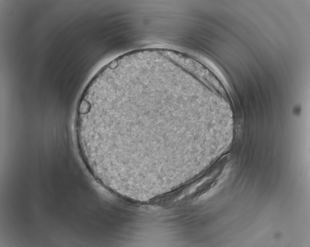 X0000116491149201001201358