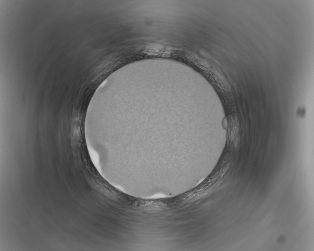 X0000116491154201001201357