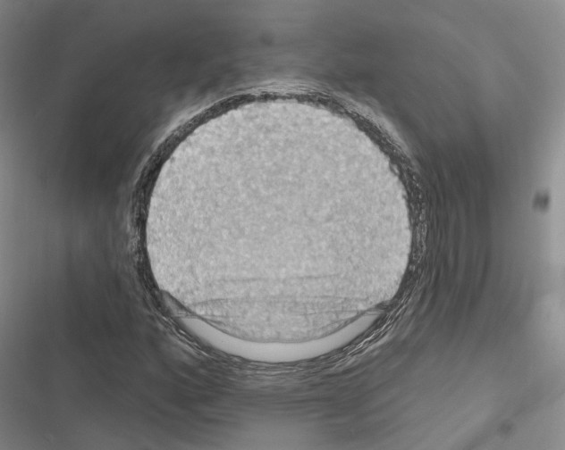 X0000116491160201001201357