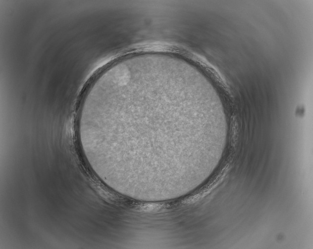 X0000116491166201001201357