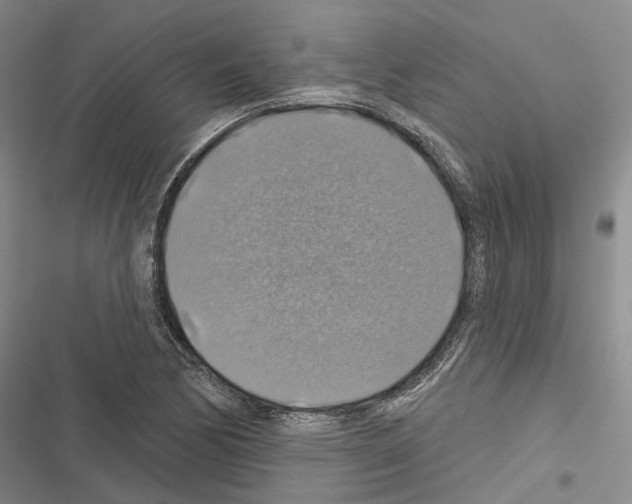 X0000116491170201001201357