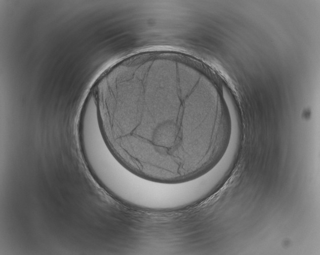 X0000116491181201001201357