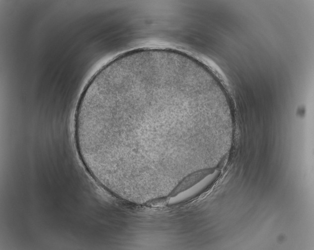 X0000116491183201001201357