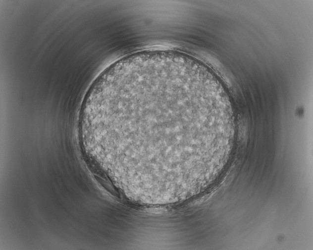 X0000116491186201001201357