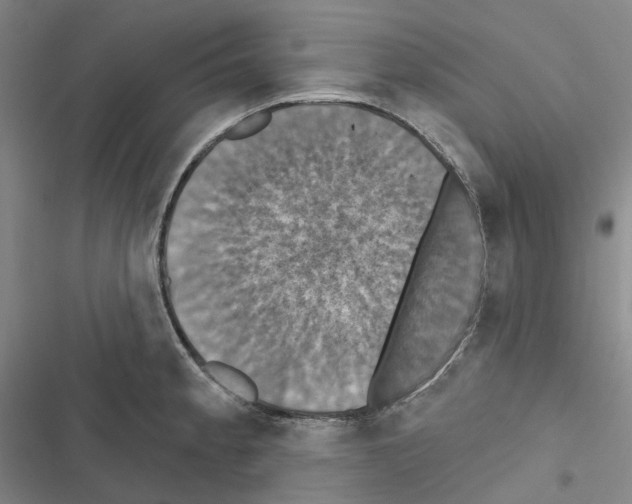 X0000116491189201001201357