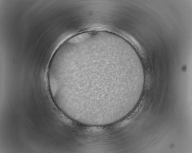 X0000116491190201001201357