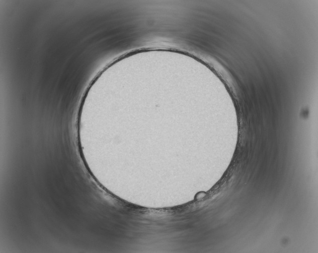 X0000116491191201001201357