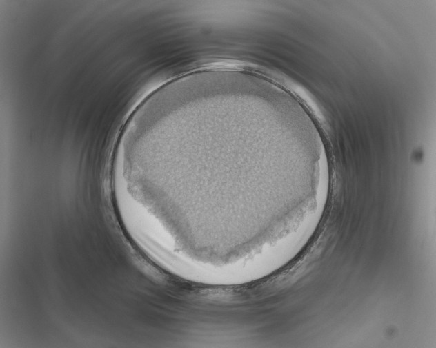 X0000116491194201001201357