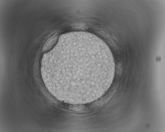 X0000116491201201001201356