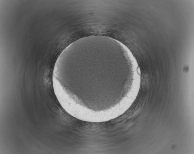 X0000116491202201001201356