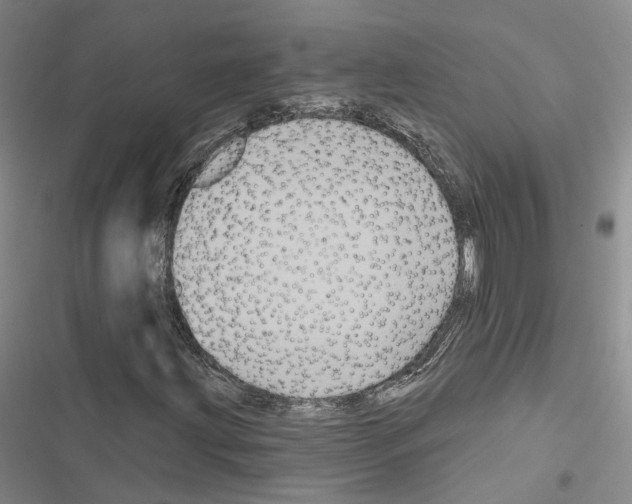 X0000116491203201001201356