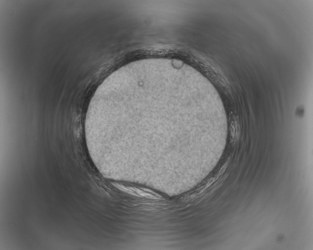 X0000116491204201001201356