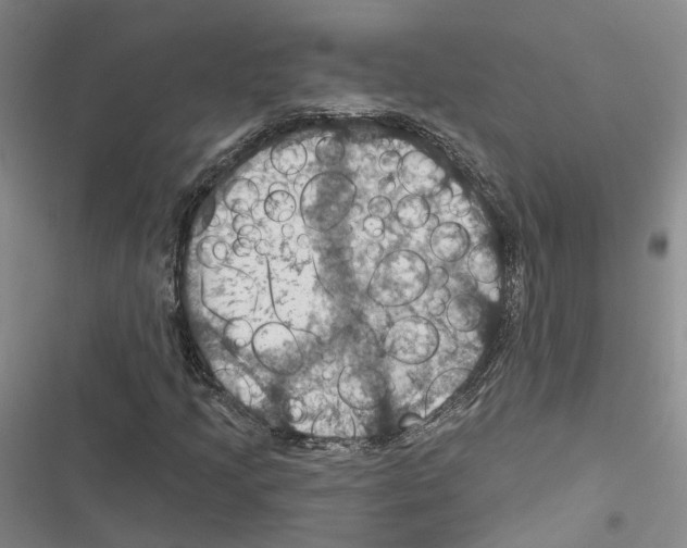 X0000116491205201001201356