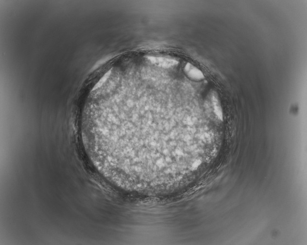 X0000116491206201001201356