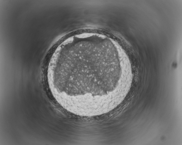 X0000116491208201001201356