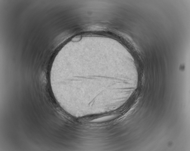 X0000116491209201001201356